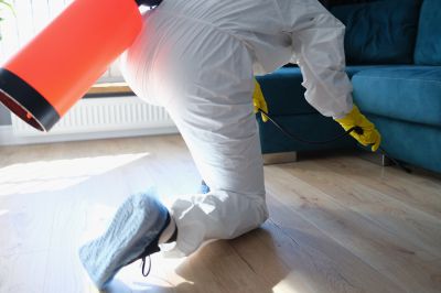 Commercial Fumigation in Bellingham, WA