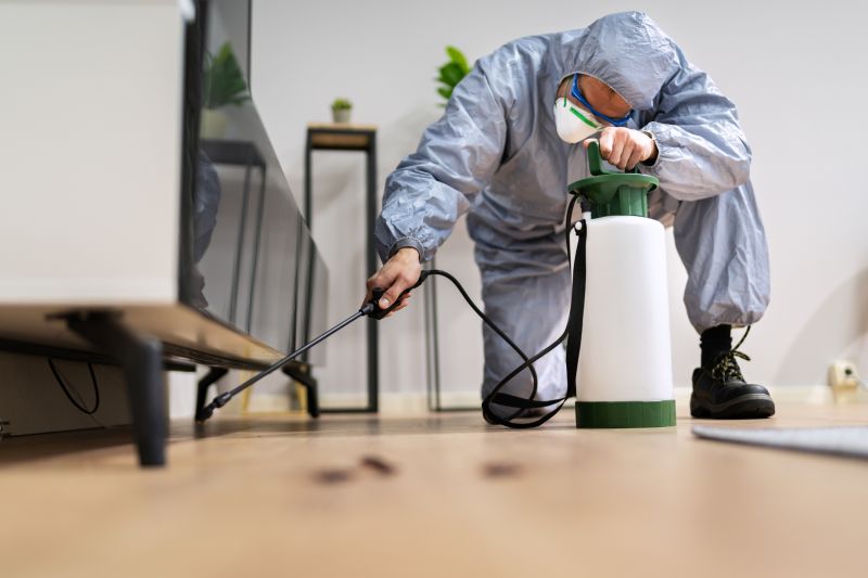 Spider Fumigation Service in Fort Collins, CO